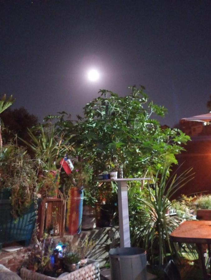 Selva Hospedaje บัลปาราอีโซ ภายนอก รูปภาพ